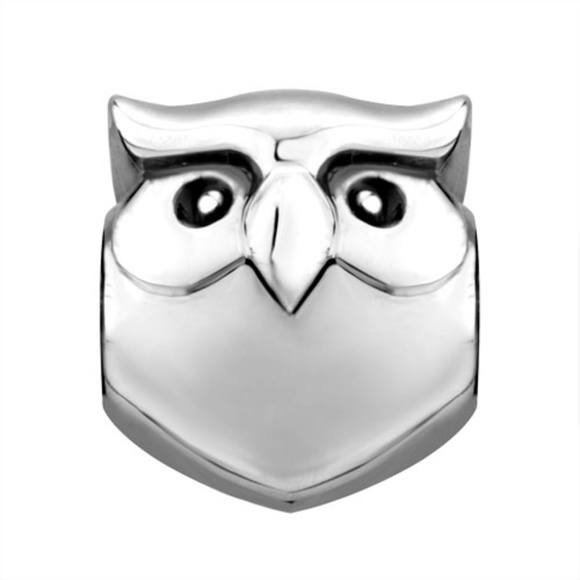 FREE S/H Pugster Harry Potter Owl charm - Fits Pandora - Picture 2 of 3
